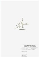 藏品(穗狀魚棲苔)的圖片